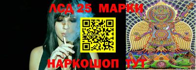 гашик Ярцево