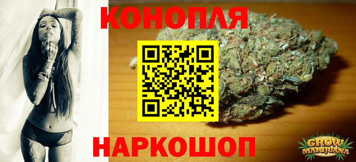 Канабис планчик Будённовск